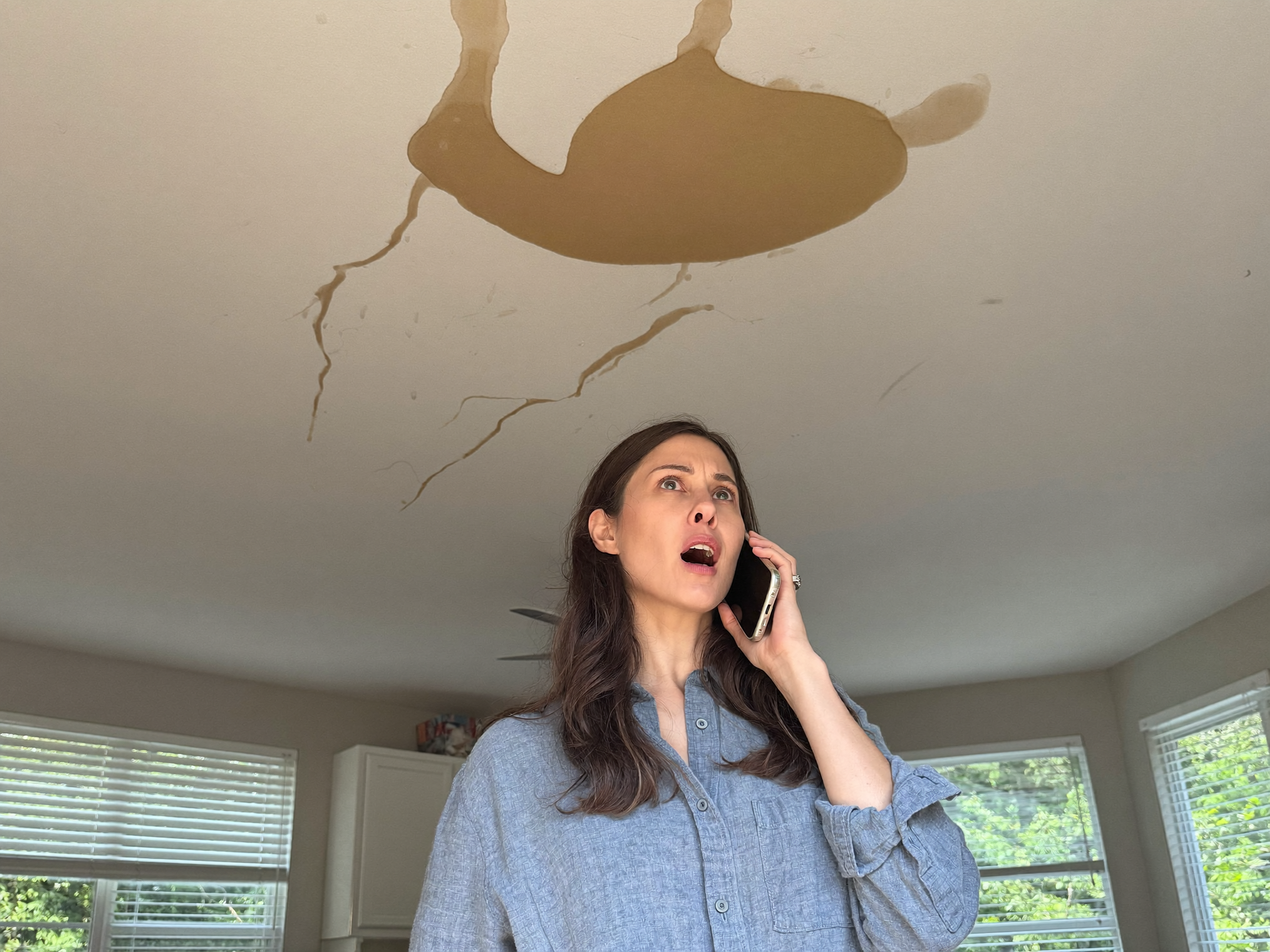 Homeowner calling about a ceiling water stain