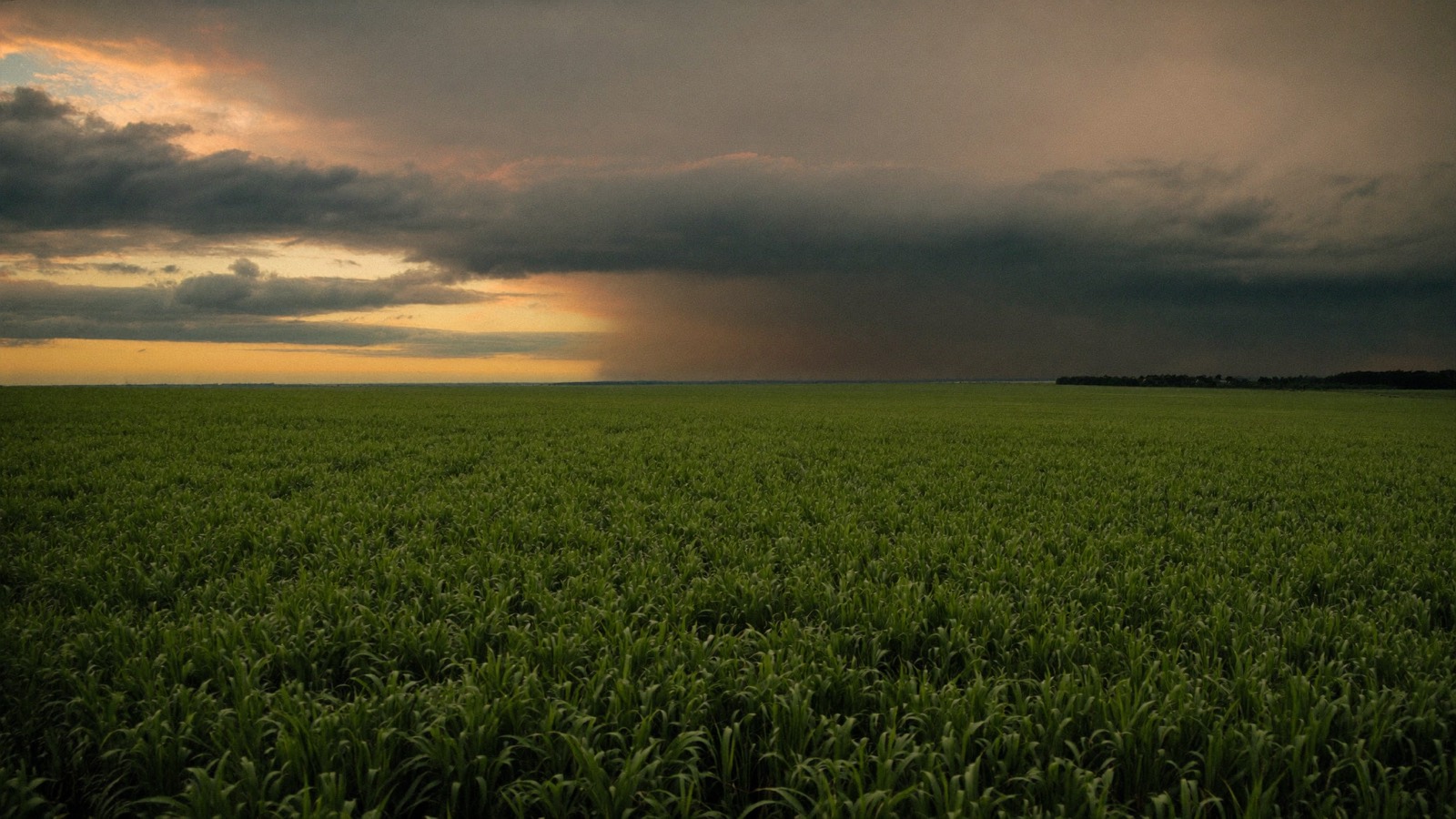 Sugarcane country at the edge of Lake Okeechobee near Belle Glade