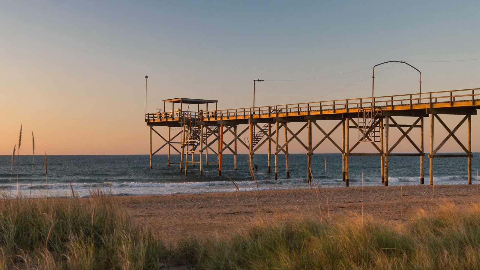 Sea oats and the fishing pier at Dania Beach