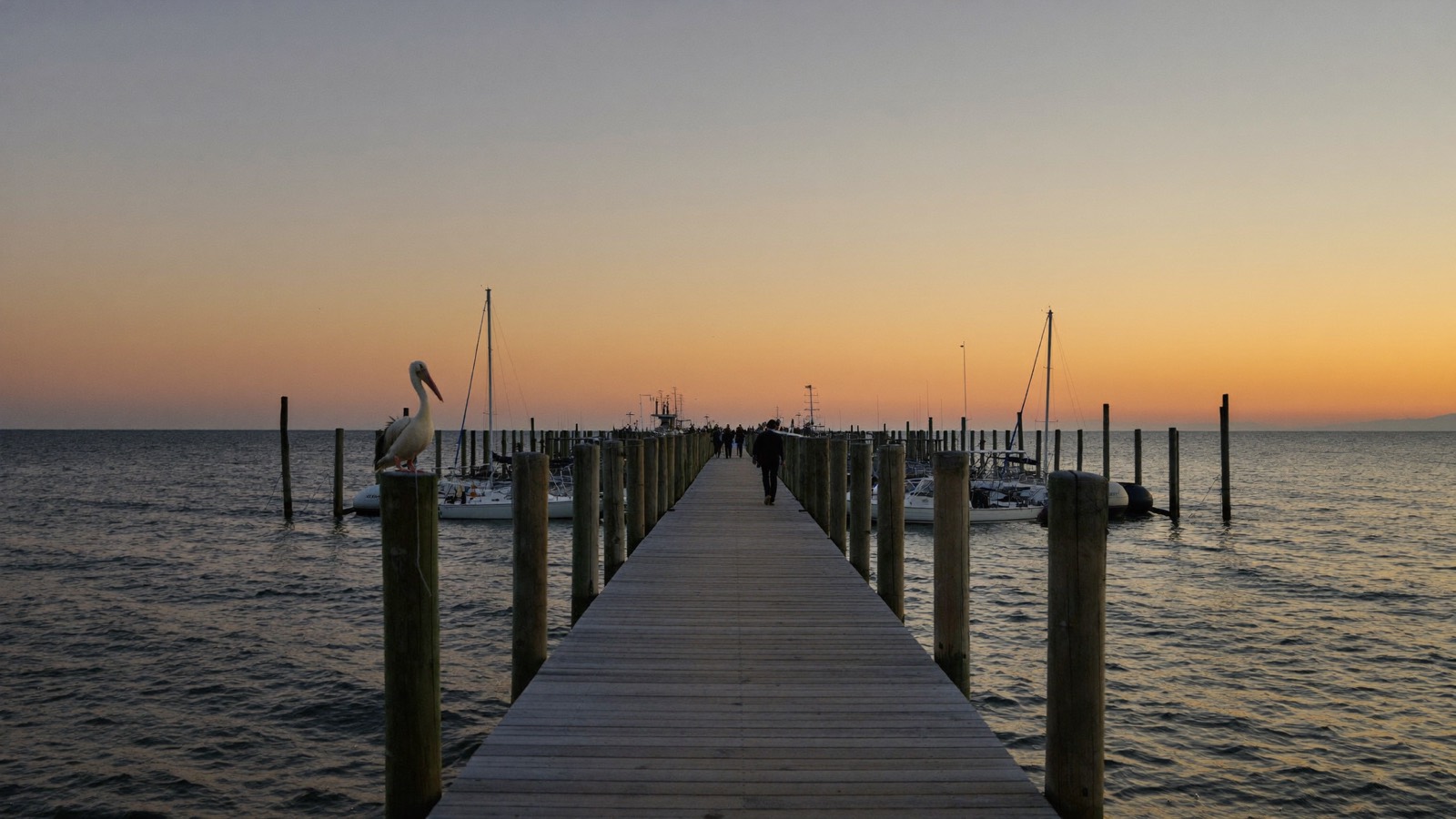 Sunrise over the Lantana fishing pier and marina