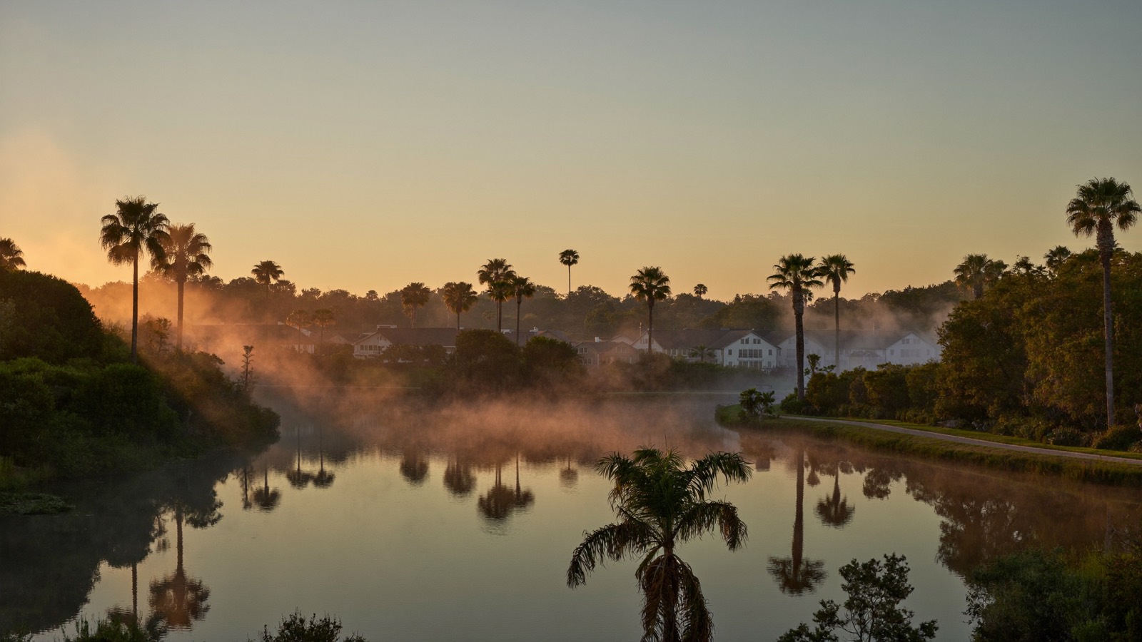 Palm-fringed lakes of Lauderdale Lakes