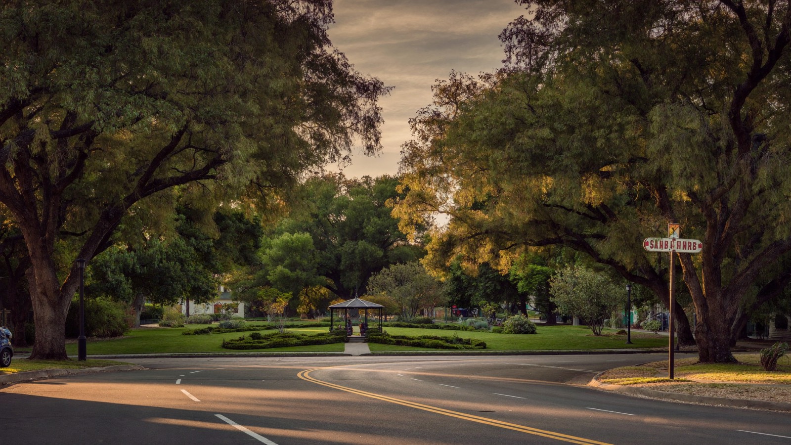 Oak-canopied streets of Plantation