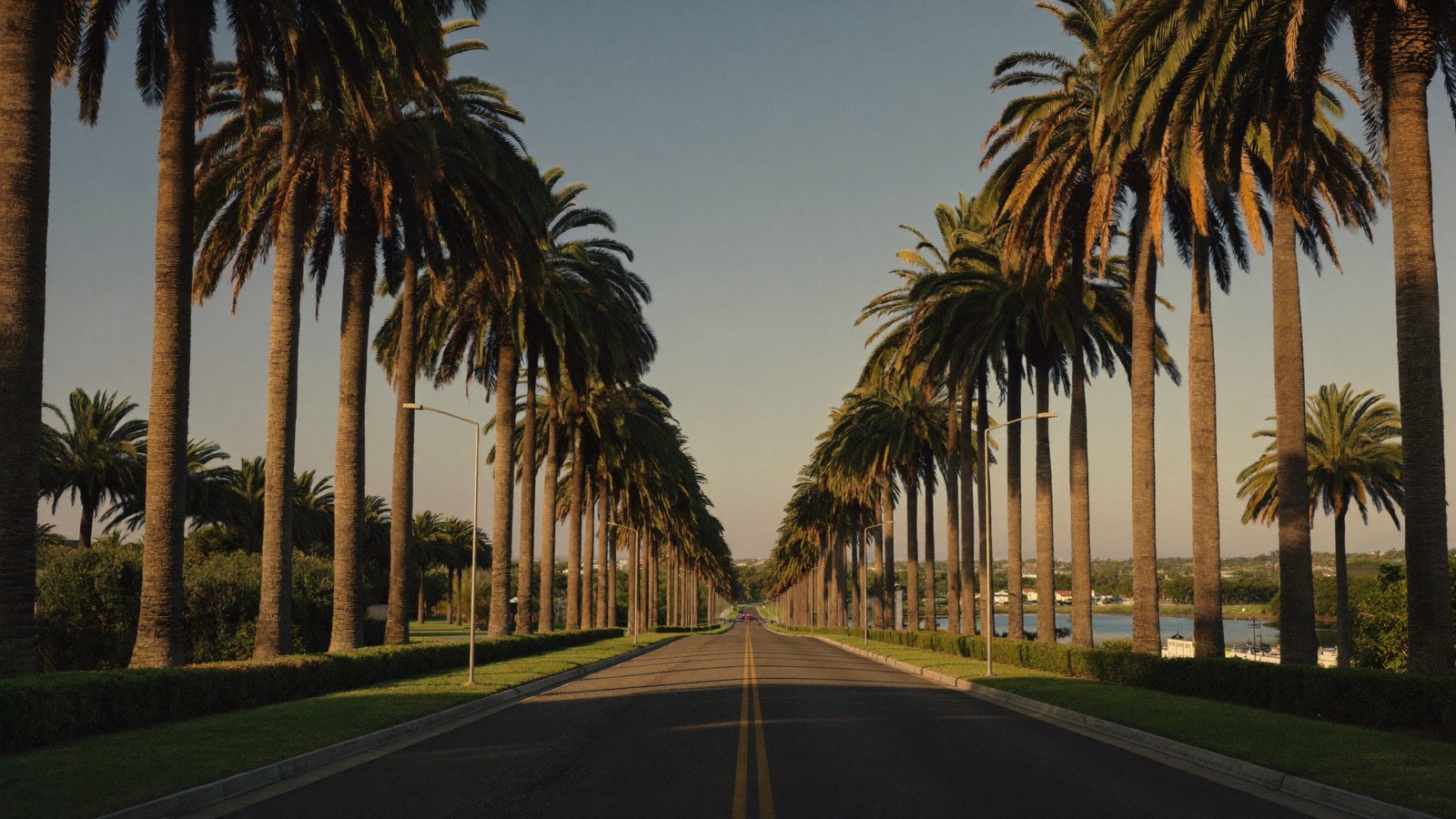 Royal palm-lined boulevards of the village of Royal Palm Beach