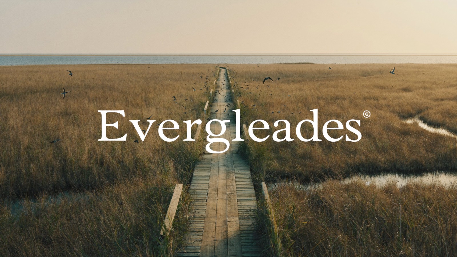 Wetland boardwalks at the Everglades edge in Sunrise
