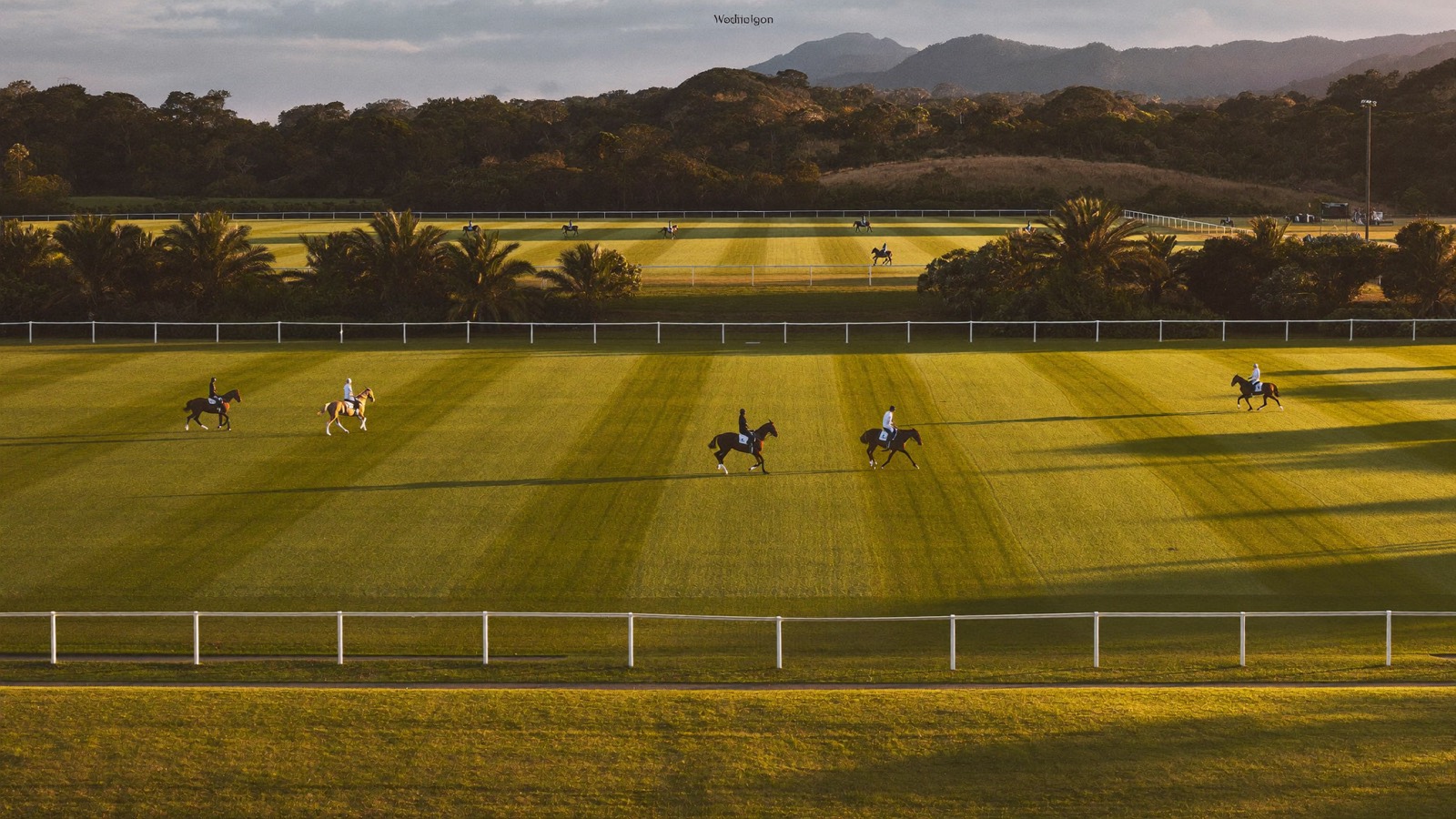 Polo season on Wellington’s world-famous equestrian grounds