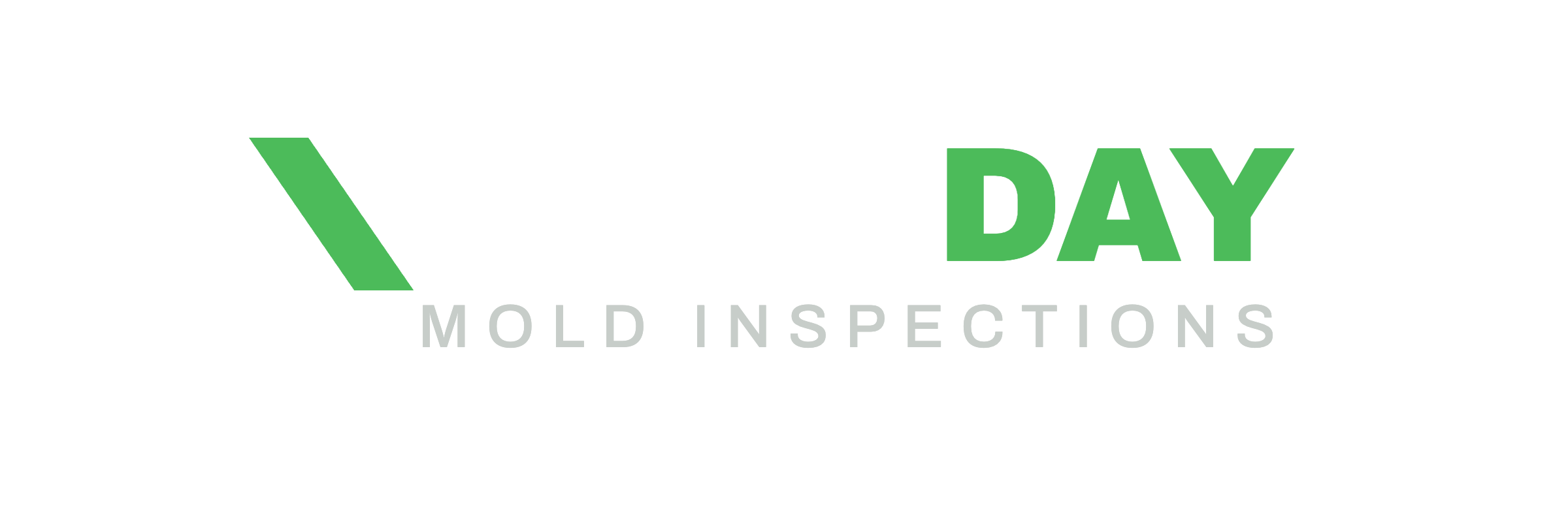 Same Day Mold Inspections